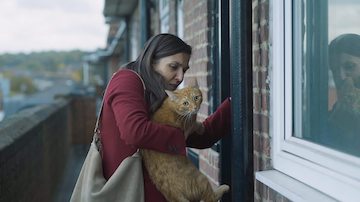 Cat in the Wall